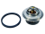 Termostat - 8M0093561