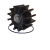 Impeller - 879312025